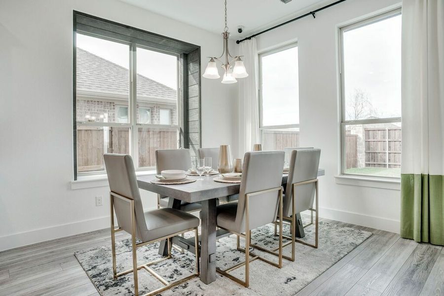 Image 41 of the Arrowbrooke 60s community in Aubrey, TX.