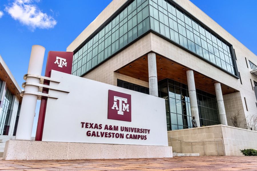 Easy drive to Texas A&M University at Galveston