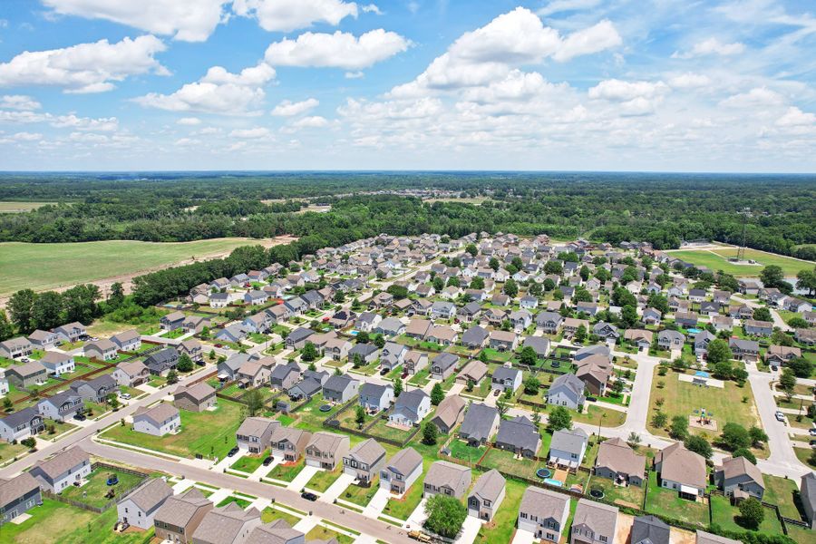 Canopy of Oaks at Hunter's Crossing Aerial View 1