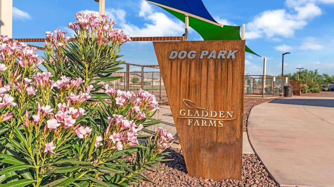Community amenity available to residents of Coronet at Gladden Farms in Marana (Image 30).