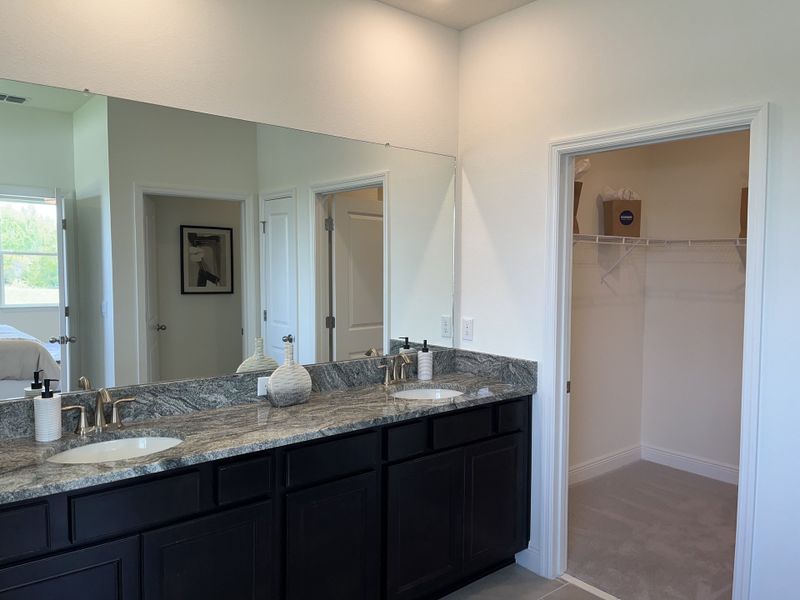 Elegant bathroom featuring a dual-sink vanity with granite countertops and access to a spacious walk-in closet. Elegant bathroom featuring a dual-sink vanity with granite countertops and access to a spacious walk-in closet.