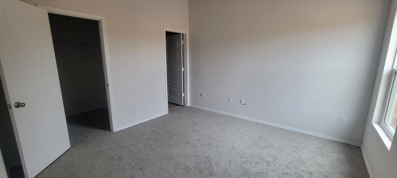 An empty room with soft gray carpet, two doorways, and bright natural light pouring through a window.