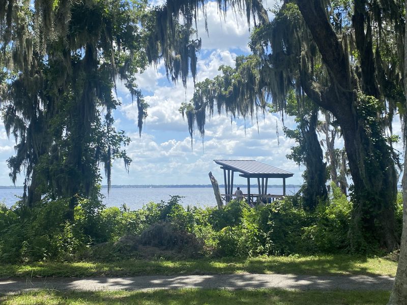 Scenic waterfront view with lush greenery in RiverTown - Cove by Mattamy Homes (St. Johns, FL).