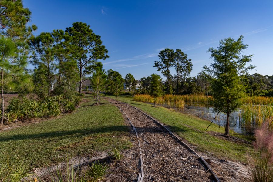 Trinity Gardens in DeLand, FL – New Home Community Surrounded by Nature