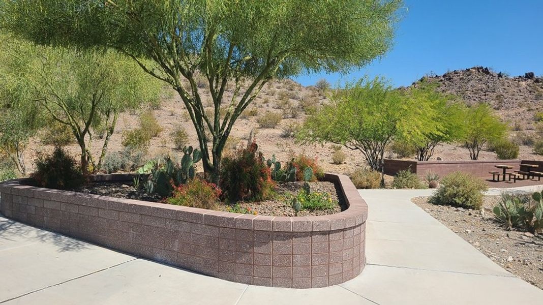 Image 4 of the Sienna Hills Passage Collection community in Buckeye, AZ. Image 4 of the Sienna Hills Passage Collection community in Buckeye, AZ.