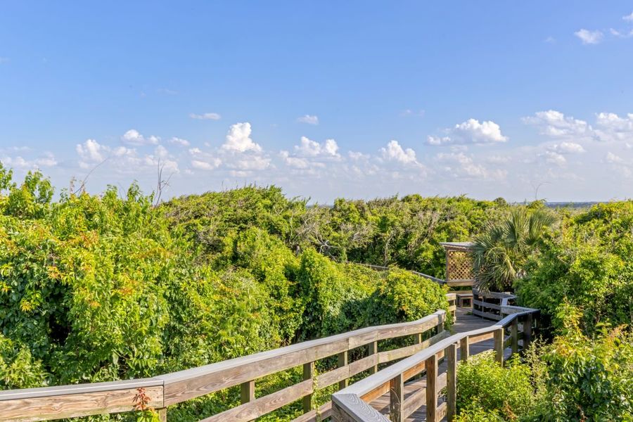 Close to Canaveral National Seashore