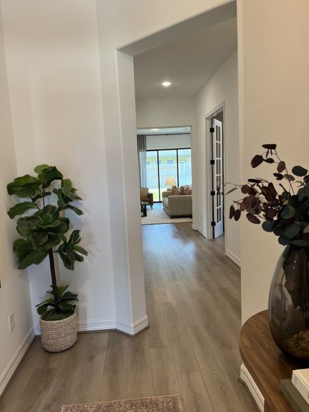 A bright hallway with wooden floors, potted plants, and a view into a spacious, light-filled living area. A bright hallway with wooden floors, potted plants, and a view into a spacious, light-filled living area.