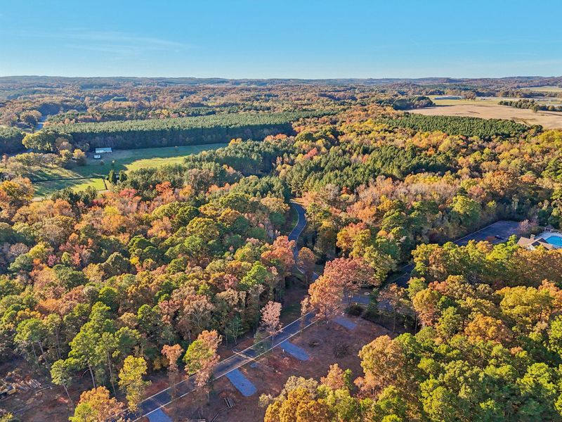 Natural surroundings and green spaces near Edgewater on Lake Tillery in Norwood, NC (Image 37).