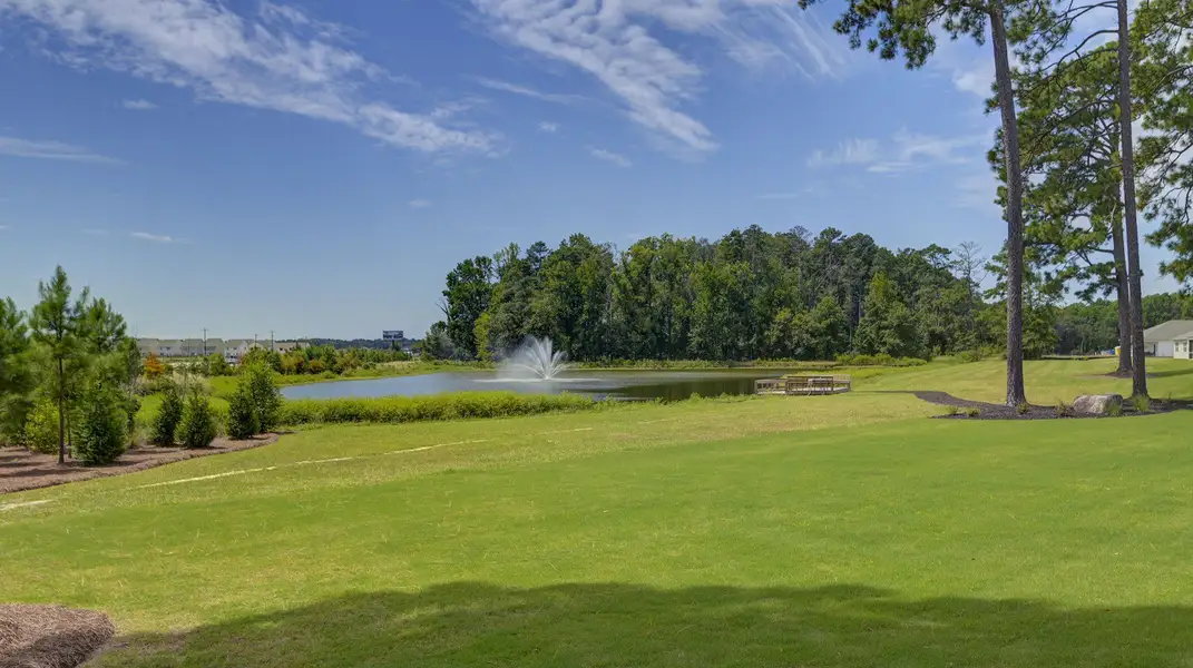 Image 49 of the Sease's Pond community in Gilbert, SC.