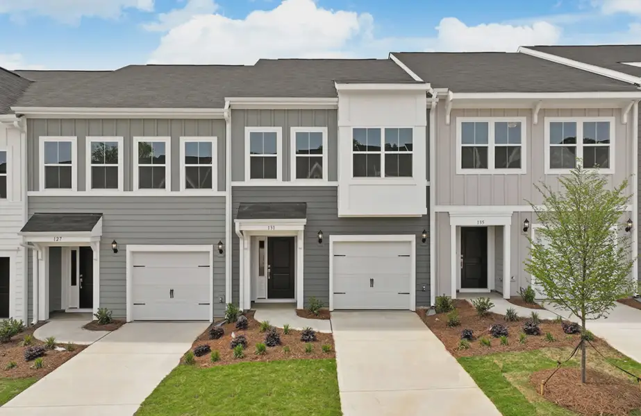 Dahlia Plan Dahlia Plan