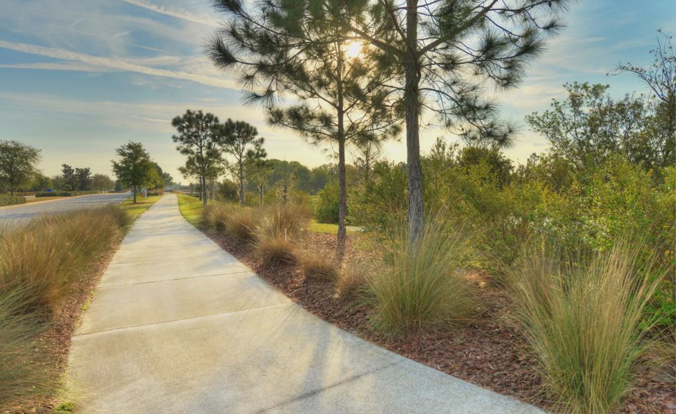 Natural surroundings and green spaces near Persimmon Park in Wesley Chapel, FL (Image 20). Natural surroundings and green spaces near Persimmon Park in Wesley Chapel, FL (Image 20).
