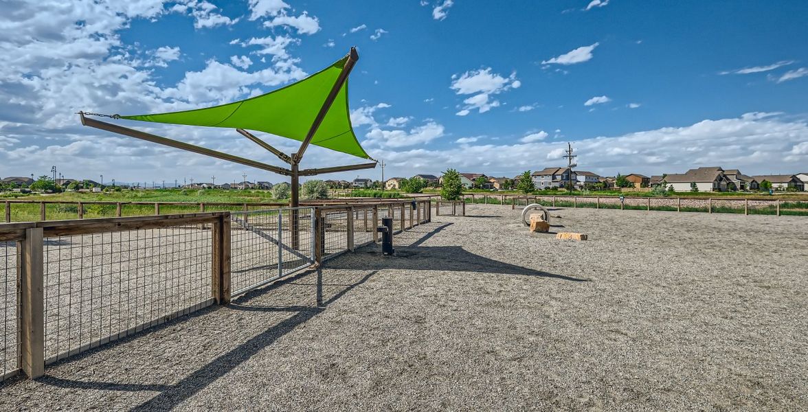 Timnath Dog Park