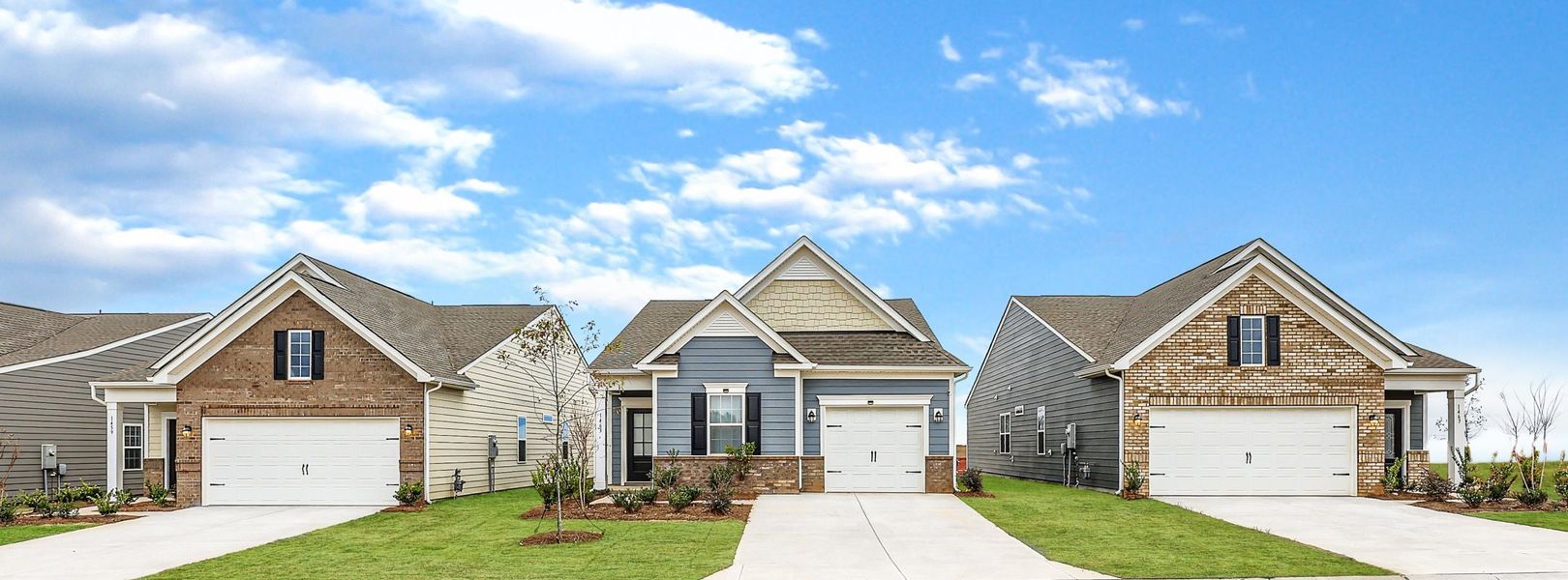 Elizabeth Orchards Collection