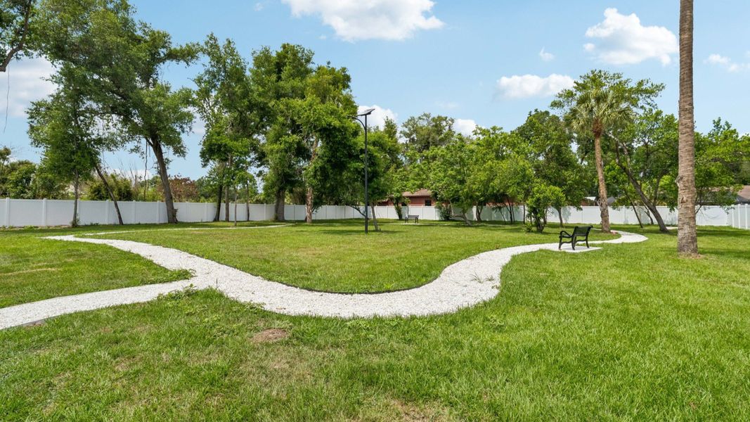 The Park