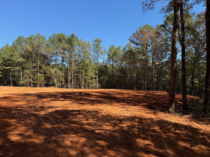 Image 7 of the Williams Mill community in Zebulon, GA.