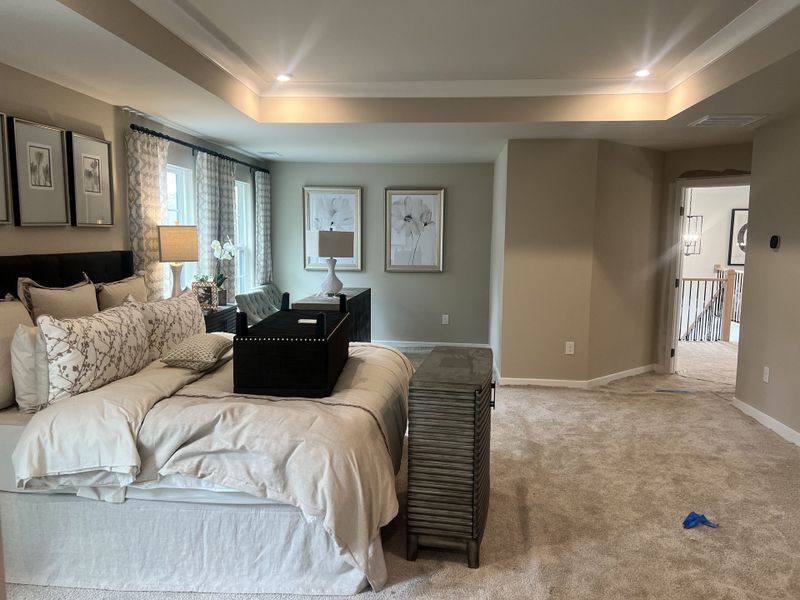 A spacious bedroom with elegant decor, plush carpeting, and tray ceiling lighting creates a cozy and inviting atmosphere.