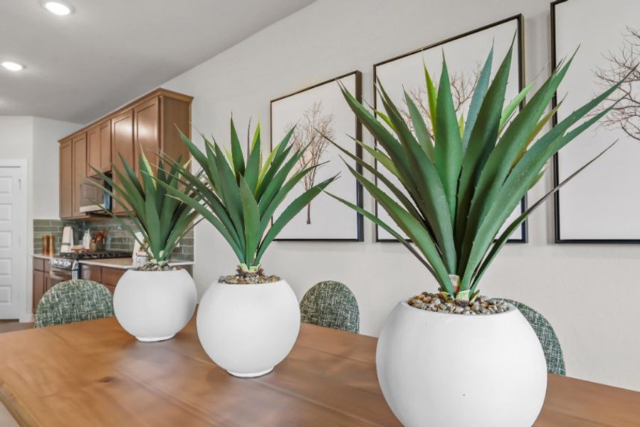 A group of potted plants on a table. A group of potted plants on a table.