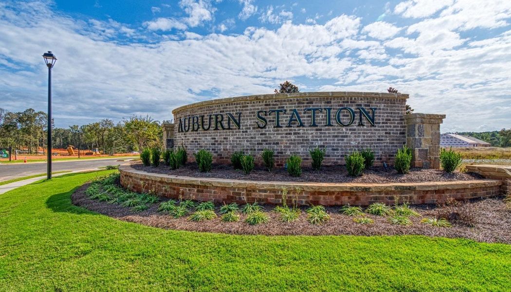 Entrance to the The Towns at Auburn Station East community in Auburn, GA, featuring signage and landscaping (Image 6).