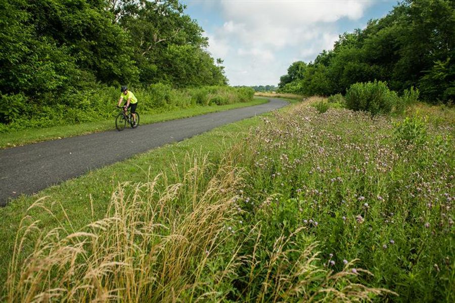 Get out and enjoy nature at many close by greenways.