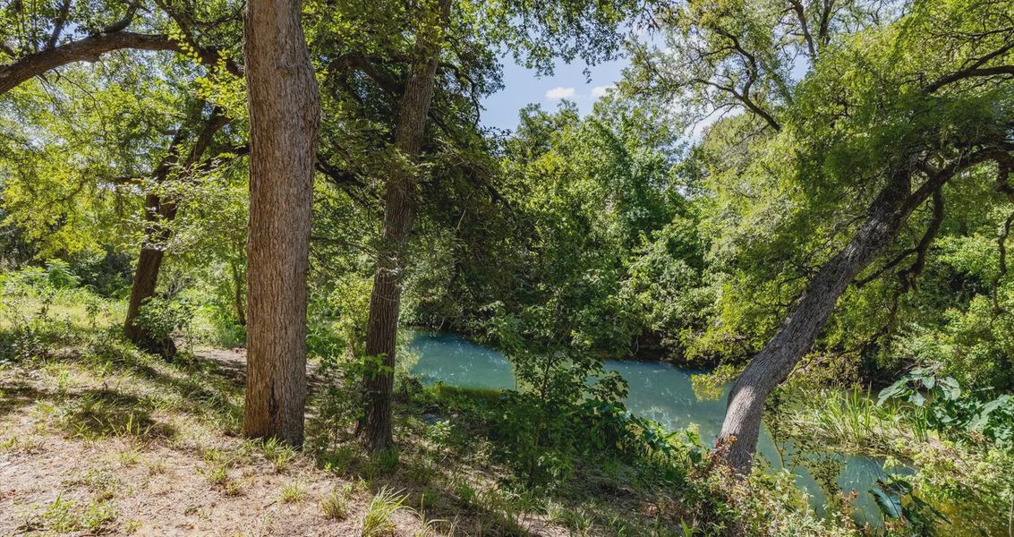 Natural surroundings and green spaces near Stream Waters in Seguin, TX (Image 22).