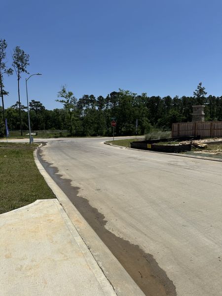 A scenic street view with surrounding trees and clear skies in Idleloch by Starlight Homes (Huffman, TX).