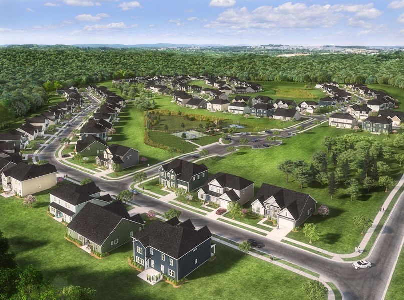 Neighborhood Rendering Neighborhood Rendering