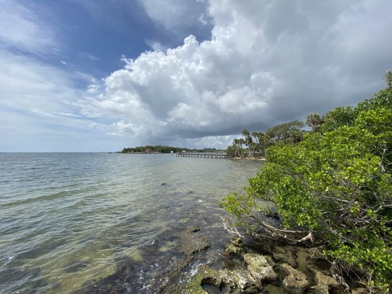 Natural surroundings and green spaces near Palm Bay in Palm Bay, FL (Image 45).