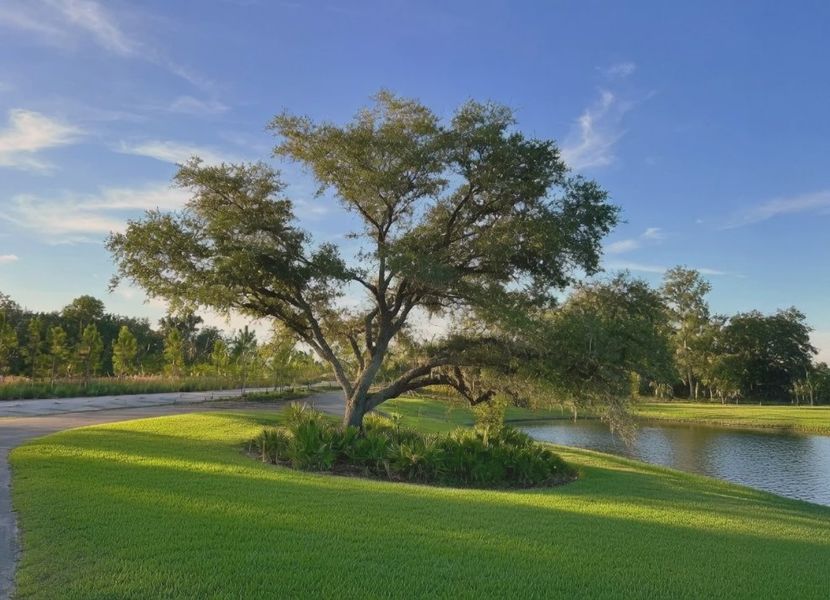 Natural surroundings and green spaces near Rye Ranch in Parrish, FL (Image 25).