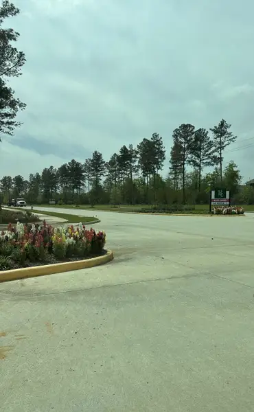 A serene street view with colorful flowers and tall trees in The Canopies by D.R. Horton (Splendora, TX). A serene street view with colorful flowers and tall trees in The Canopies by D.R. Horton (Splendora, TX).