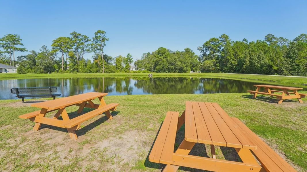 The Community Picnic Area