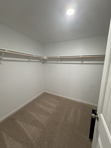 A spacious walk-in closet with neutral carpeting, open shelving, and bright overhead lighting.