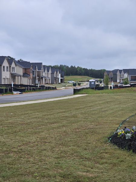 A picturesque neighborhood of modern homes on a serene street in Fern Dale by Dream Finders Homes (Fairburn, GA).