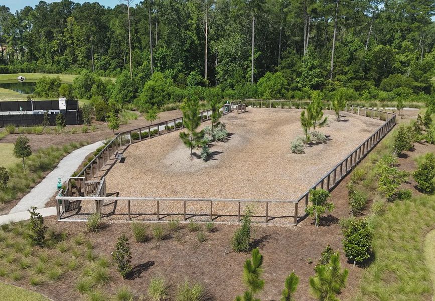 Site preparation and early development at Watson Hill in Summerville, SC (Image 19). Site preparation and early development at Watson Hill in Summerville, SC (Image 19).