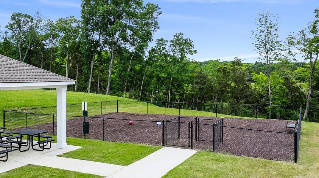 Bowie Meadows Amenity Dog Park Bowie Meadows Amenity Dog Park