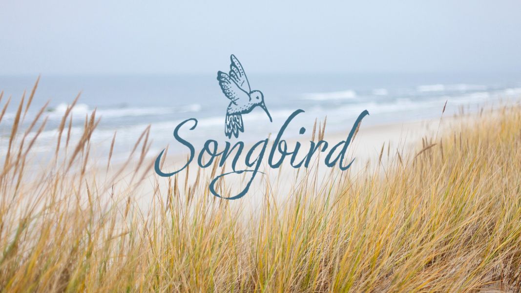 Image 29 of the Songbird community in Hampstead, NC. Image 29 of the Songbird community in Hampstead, NC.