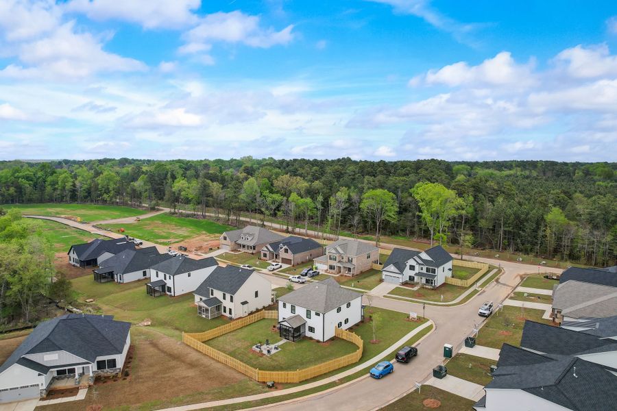 Collins Cove Aerial View