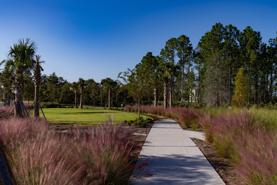 Trinity Gardens in DeLand, FL – New Home Community Surrounded by Nature