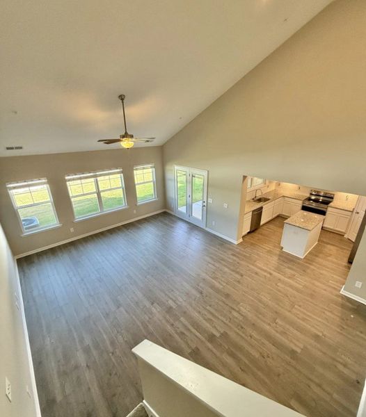 Vaulted living rooms