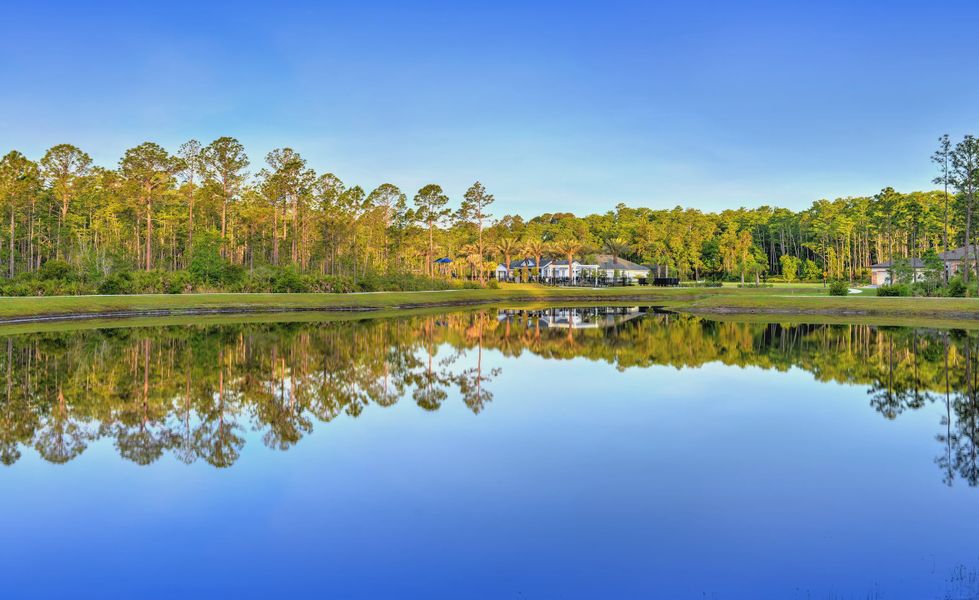 Natural surroundings and green spaces near Woodhaven Single Family in Port Orange, FL (Image 39). Natural surroundings and green spaces near Woodhaven Single Family in Port Orange, FL (Image 39).