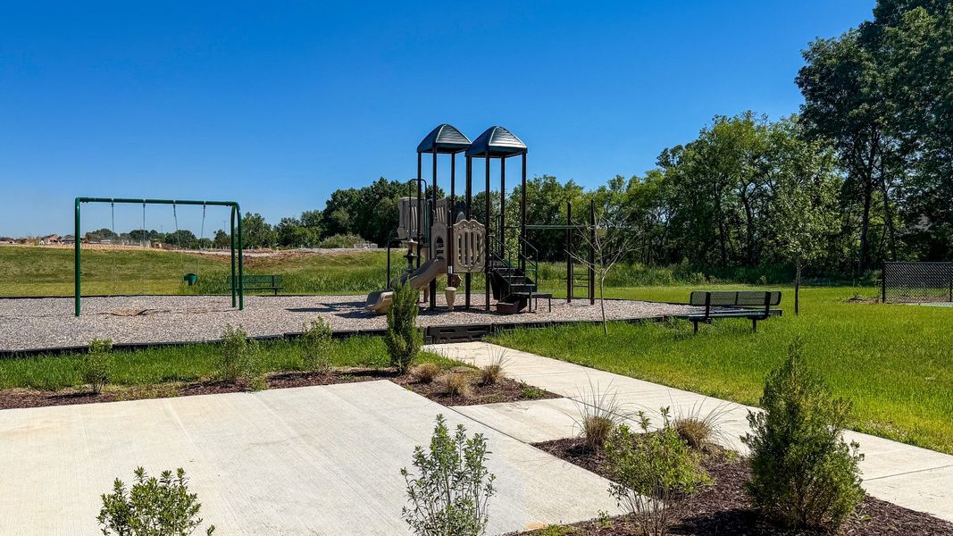 Playground with Swing Set