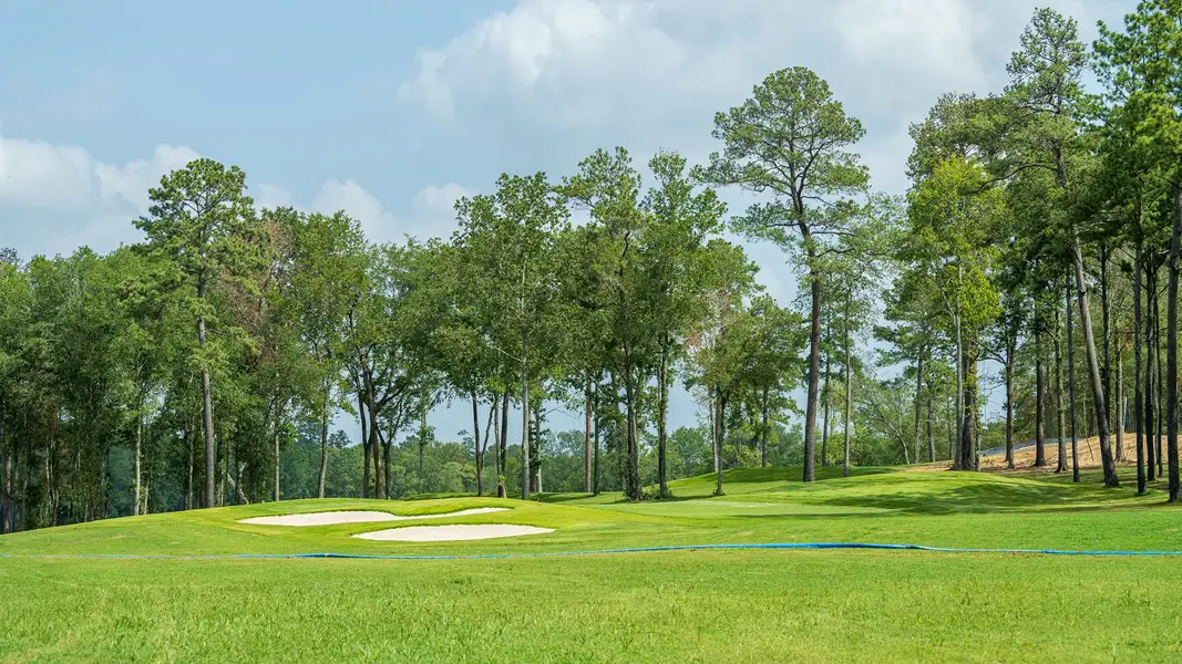 Community amenity available to residents of The Highlands 65' in Porter (Image 11).