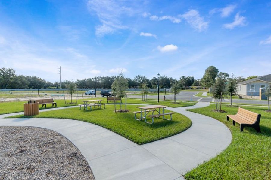 Picnic Area at Mayhill