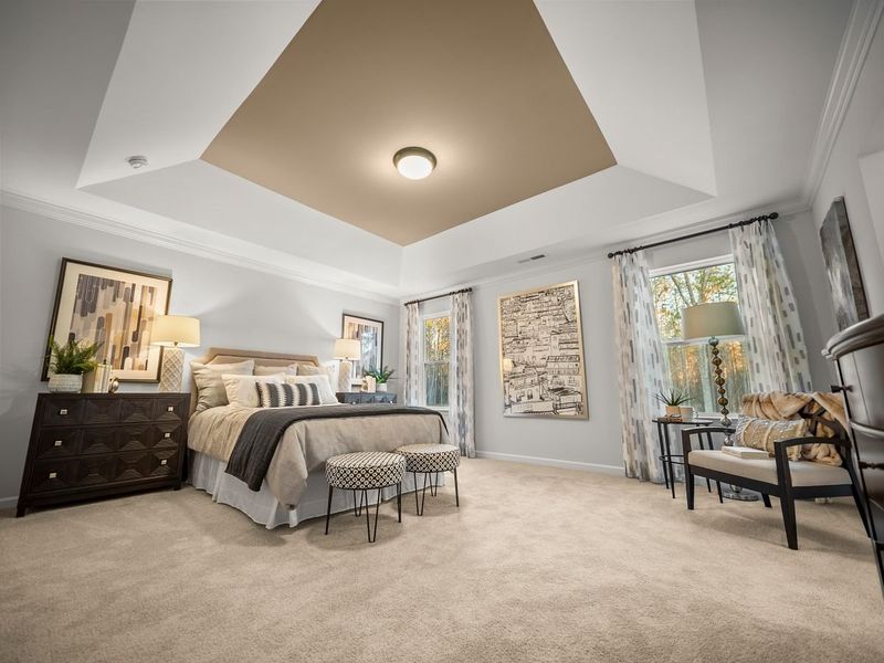 Image 16 of the Jackson Springs community in Willow Spring, NC.