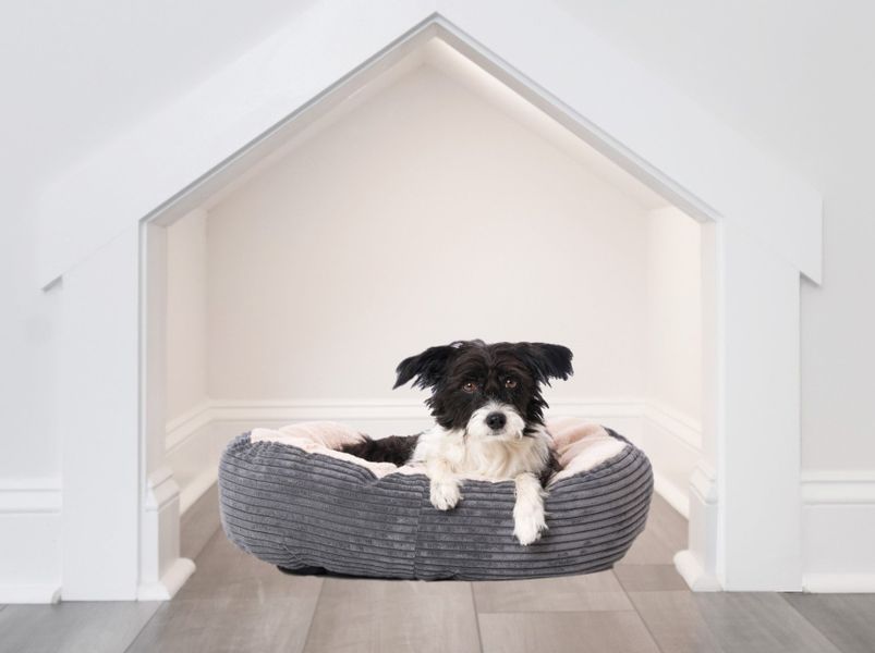 Image 18 of the Miller Park community in Greenville, SC.