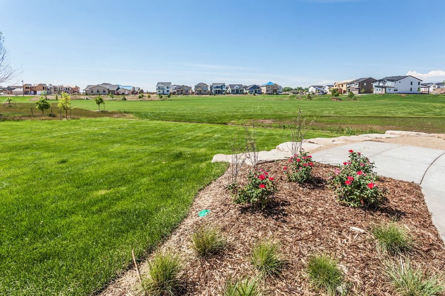 Community amenity available to residents of Trailside in Timnath (Image 13).