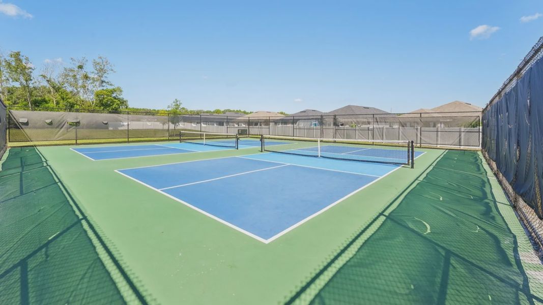 The Pickleball Courts
