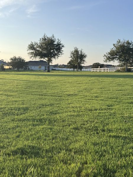 Expansive green lawn with distant trees and a house in The Preserve at Bannon Lakes by Pulte Homes (St. Augustine, FL).