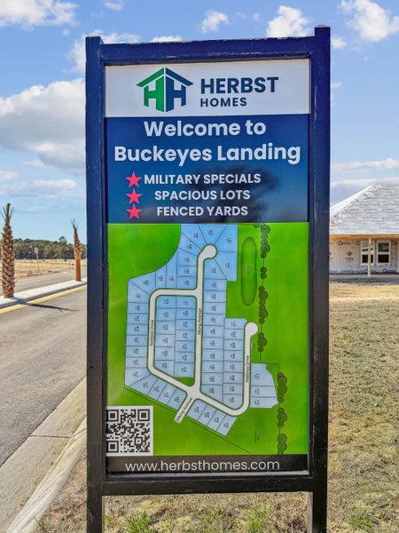 Image 48 of the Buckeyes Landing community in Navarre, FL.