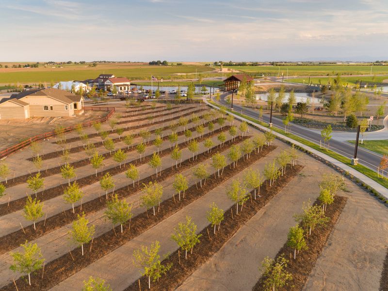 Site preparation and early development at RainDance in Windsor, CO (Image 22).