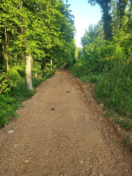 Cresswind Charlotte Neighborhood Walking Trail